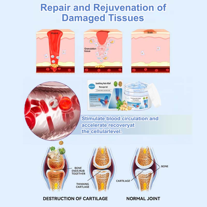 🔥Instant Pain Relief🔥NESLEMY® Joint Relief Gel – Natural Herbal Ointment Wellness